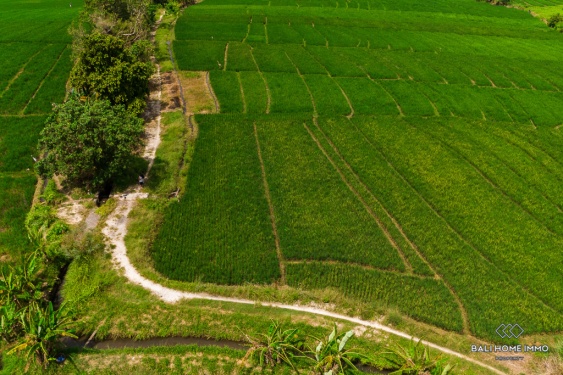 Image 3 from Land with View for Sale in Bali Tibubiu