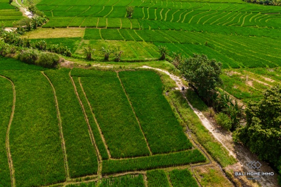 Image 2 from Land with View for Sale in Bali Tibubiu