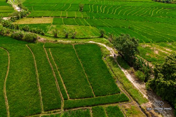 Image 2 from Dijual Tanah dengan Pemandangan di Bali Tibubiu
