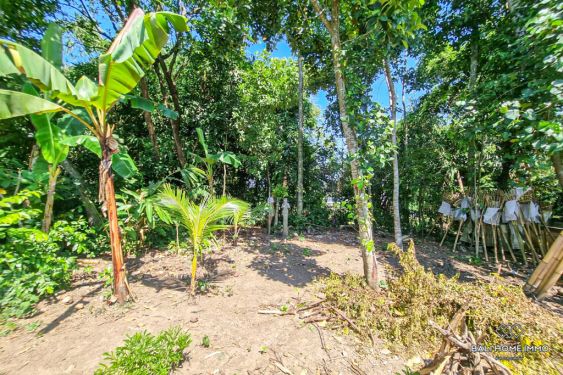 Image 2 from Land with View for Sale Leasehold in Bali Kaba Kaba