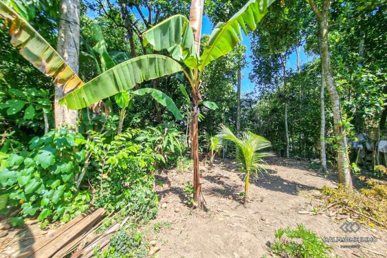 Image 3 from Land with View for Sale Leasehold in Bali Kaba Kaba
