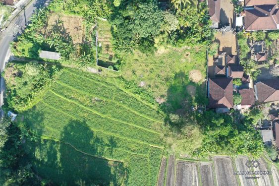 Image 4 from Land with View for Sale Leasehold in Bali Munggu