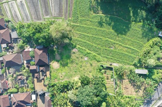 Image 5 from Land with View for Sale Leasehold in Bali Munggu