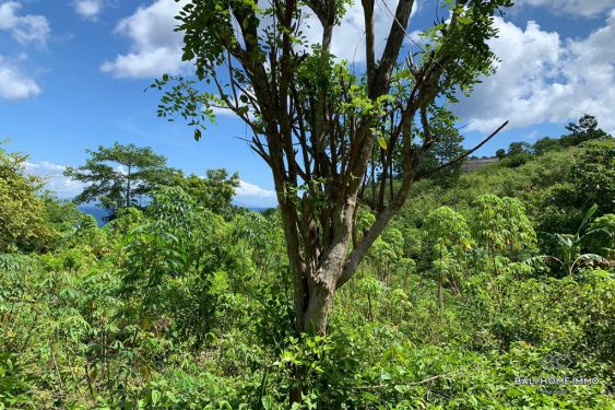 Image 4 from Land with View for Sale Leasehold in Nusa Penida