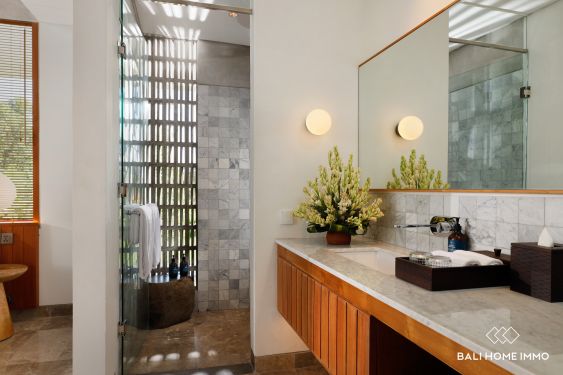 Image 18 from Luxueuse villa de 7 chambres à vendre à distance de Pererenan et d'Echo Beach