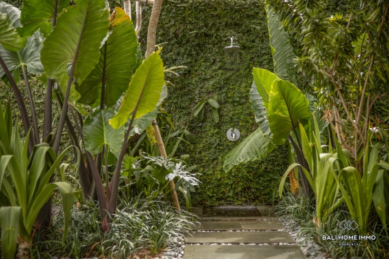 Image 20 from Villa de luxe de 3 chambres en location mensuelle à Bali Canggu Berawa