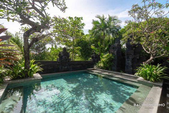 Image 3 from Villa 4 Kamar Tidur Mewah untuk Sewa Bulanan di Bali Canggu Berawa