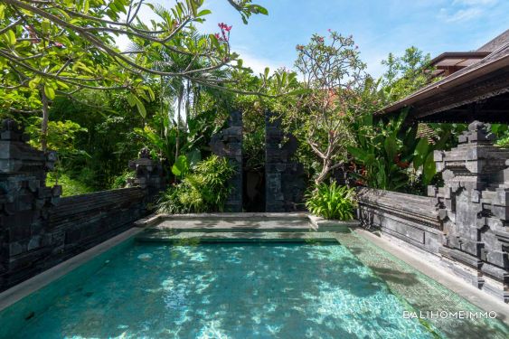 Image 2 from Villa de luxe de 4 chambres à louer au mois à Bali Canggu Berawa