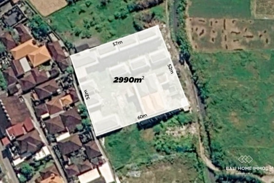Vaste terrain de 2990 m² à vendre à Seminyak