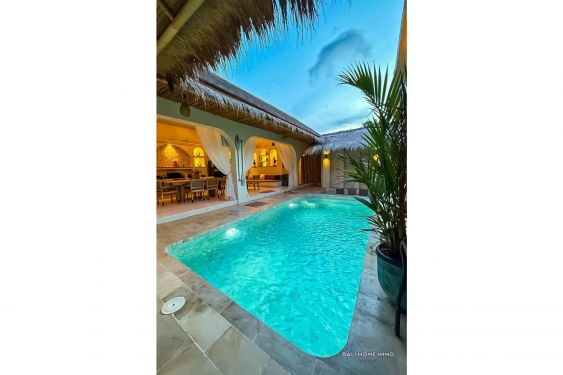 Image 2 from VILLA 3 KAMAR TIDUR DI MEDITERANIA UNTUK DISEWA BULANAN DI BALI - BALANGAN