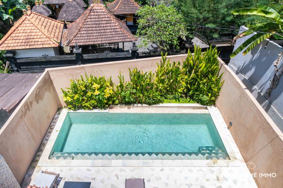 Image 18 from Villa méditerranéenne de 4 chambres à coucher à vendre en leasing à Bali Canggu