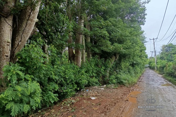 Image 7 from Terrain mixte à vendre en bail emphytéotique à Nunggalan