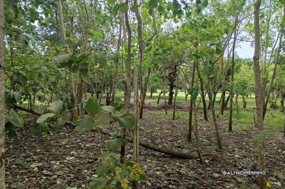 Image 3 from Terrain mixte à vendre en bail emphytéotique à Nunggalan