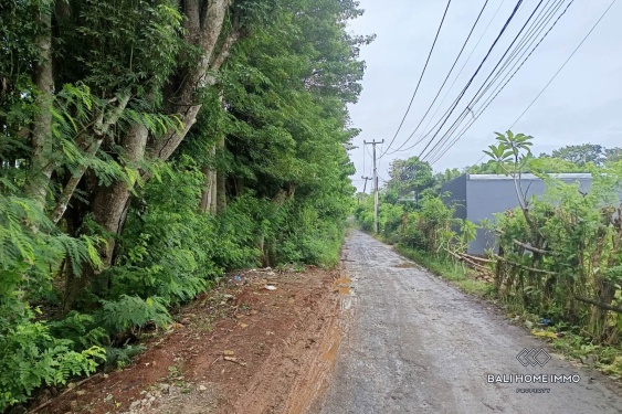 Image 6 from Terrain mixte à vendre en bail emphytéotique à Nunggalan