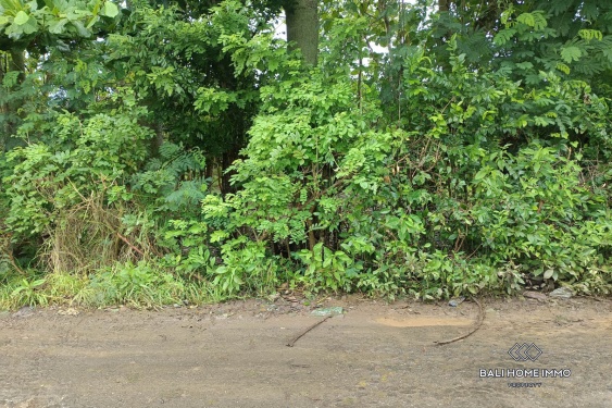 Image 2 from Terrain mixte à vendre en bail emphytéotique à Nunggalan