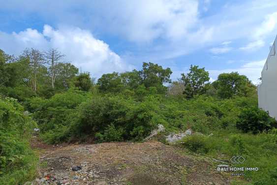 Image 3 from Mix Zone Land for Sale Leasehold in Nyang Nyang