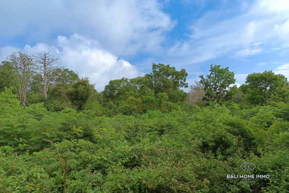 Image 2 from Mix Zone Land for Sale Leasehold in Nyang Nyang