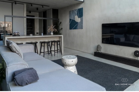 Modern 1 Bedroom Villa for Sale Leasehold in Bali Canggu Babakan