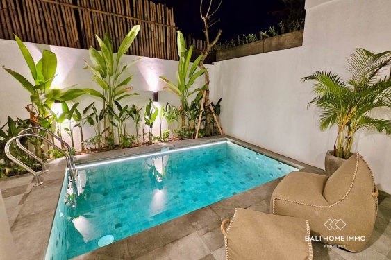 Image 8 from Villa Modern 1 Kamar Dijual & Disewakan di Babakan Canggu