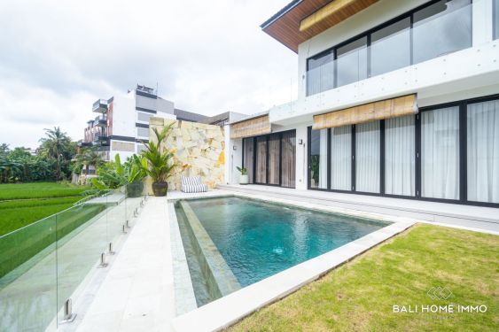 Image 1 from Modern 2 Bedroom Ricefield View Villa for Sale Leasehold in Babakan Canggu