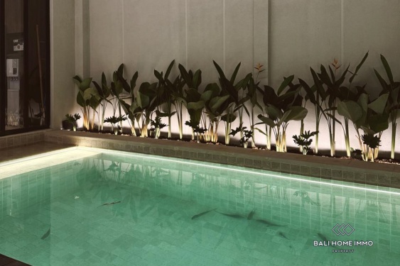 Image 13 from Villa moderne de 2 chambres à louer à Bali Seminyak