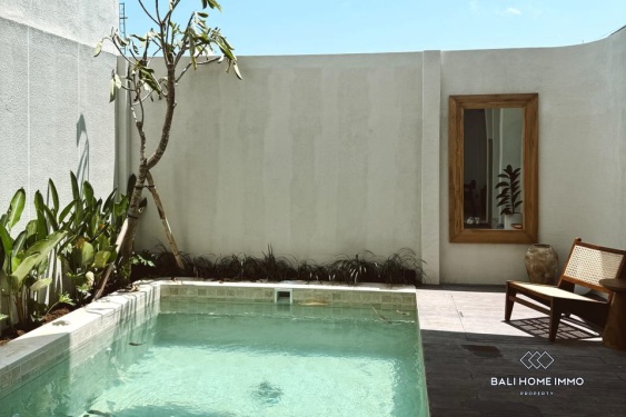 Image 14 from Villa moderne de 2 chambres à louer à Bali Seminyak