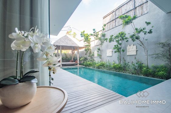 Image 3 from Modern 2 Bedroom Villa for Rentals in Bali Petitenget