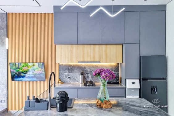 Image 7 from Vila Modern 1 Kamar Dijual dan Disewa di Bali Umalas