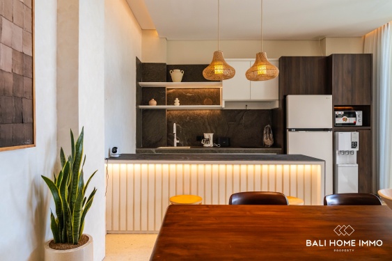 Image 12 from Villa moderne de 2 chambres à vendre et à louer à Seminyak, Bali