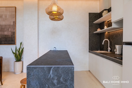 Image 13 from Villa moderne de 2 chambres à vendre et à louer à Seminyak, Bali