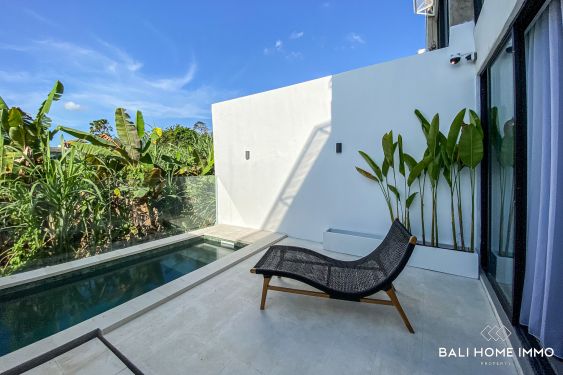 Image 3 from MODERN 2 BEDROOM VILLA FOR YEARLY RENTAL IN BALI PERERENAN