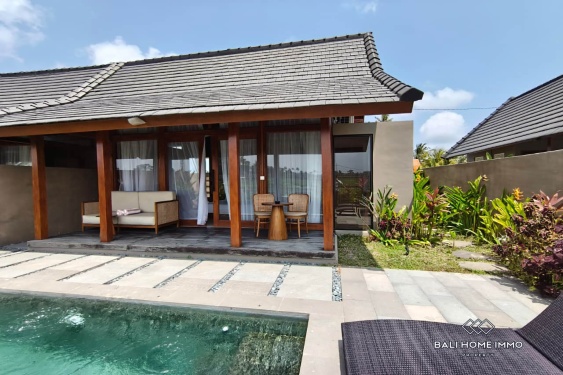 Vila modern 1 kamar berpemandangan sawah untuk disewa di Mambal.