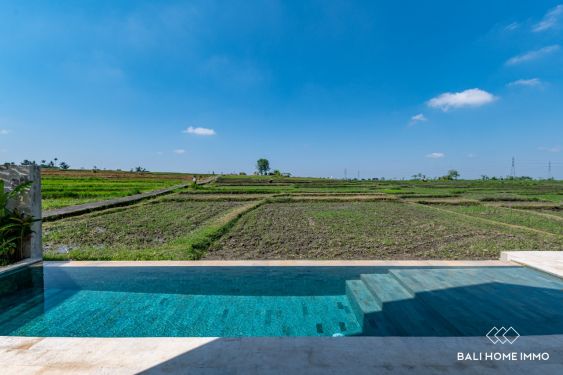 Image 3 from Villa moderne de 2 chambres avec vue imprenable sur la rizière et la zone verte à vendre à Cepaka