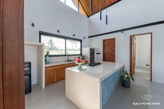 Image 8 from Modern 2-Bedroom Villa with Stunning Green Zone Rice Field Views for sale in Cepaka