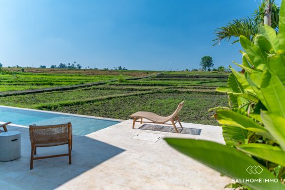 Image 19 from Modern 2-Bedroom Villa with Stunning Green Zone Rice Field Views for sale in Cepaka