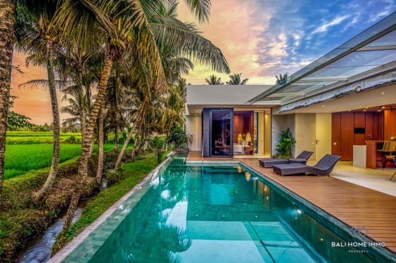 Image 3 from Modern 3 Bedroom Villa for Monthly Rental in Bali Ubud