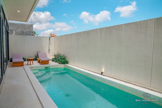 Image 1 from Modern 3 Bedroom Villa for Sale Freehold in Bali Kedungu