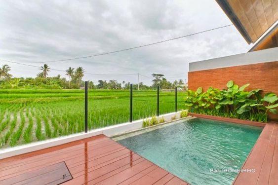 Image 2 from Modern 2 Bedroom Villa with rice field view for rent in Lodtunduh Ubud
