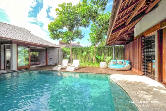 Image 2 from Villa Mewah Modern 2 Kamar untuk Disewa di Umalas