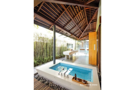 Image 8 from Villa Mewah Modern 2 Kamar untuk Disewa di Umalas