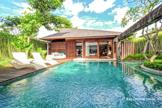 Image 11 from Villa Mewah Modern 2 Kamar untuk Disewa di Umalas