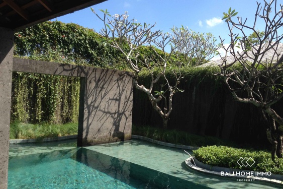 Image 9 from Villa Mewah Modern 3 Kamar untuk Disewa di Umalas