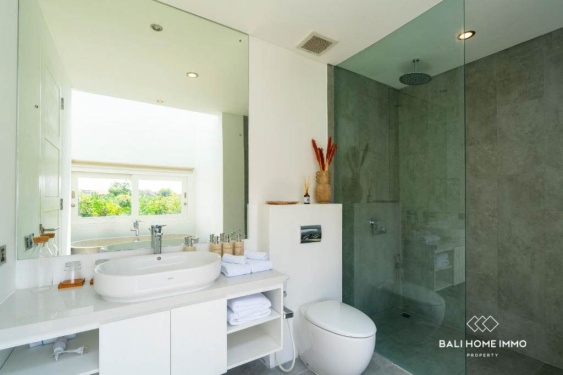 Image 12 from Modern Tropical 3 Bedroom Villa for sale in Seminyak
