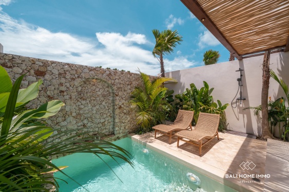 Image 10 from Villa 1 Kamar dengan Desain Tropis Modern Dijual di Umalas