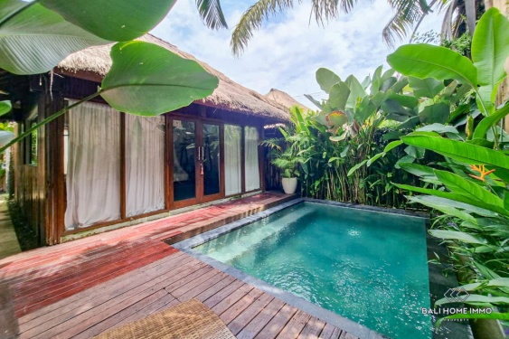 Image 16 from Near Beach 1 Bedroom Villa for Monthly Rental in Bali Pererenan Beachside