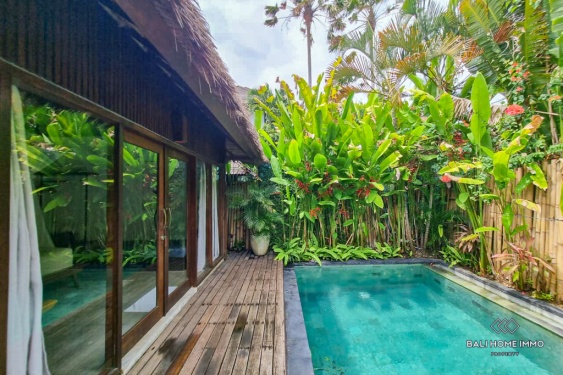 Image 2 from Villa 1 Kamar Dekat Pantai untuk Sewa Bulanan di Bali, Tepi Pantai Pererenan