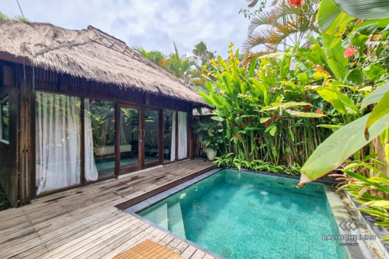 Image 15 from Near Beach 1 Bedroom Villa for Monthly Rental in Bali Pererenan Beachside