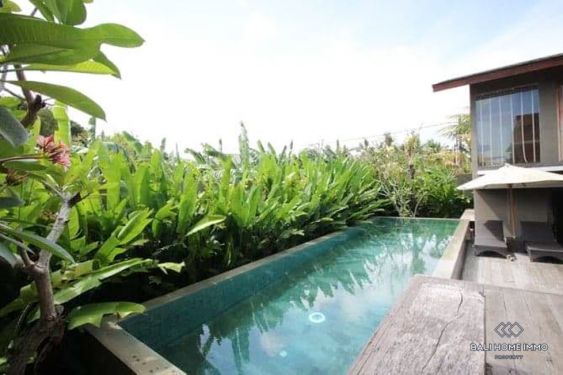 Image 3 from Near Beach 3 Bedroom Villa for Yearly Rental in Bali Canggu