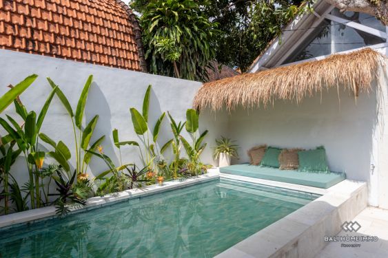 Image 3 from Villa Dekat Pantai 2 Kamar Tidur Disewakan Jangka Panjang di Bali Pererenan