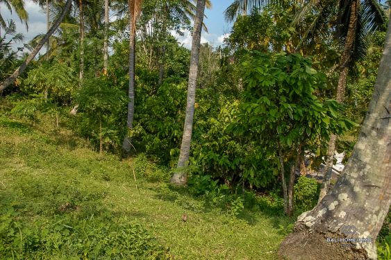 Image 4 from Près de la plage Terrain avec vue sur la rizière à vendre en pleine propriété à Bali Balian Beach